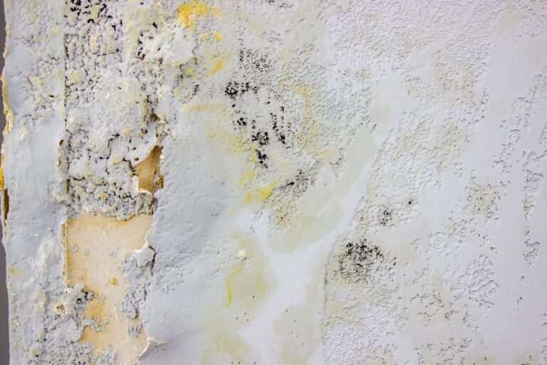 Unbiased Mold Inspection and IAQ Testing in Montana