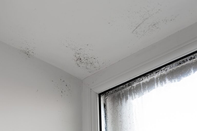 Newest Technologies in Asbestos and Mold Remediation
